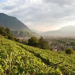 Weingut Messnerhof
