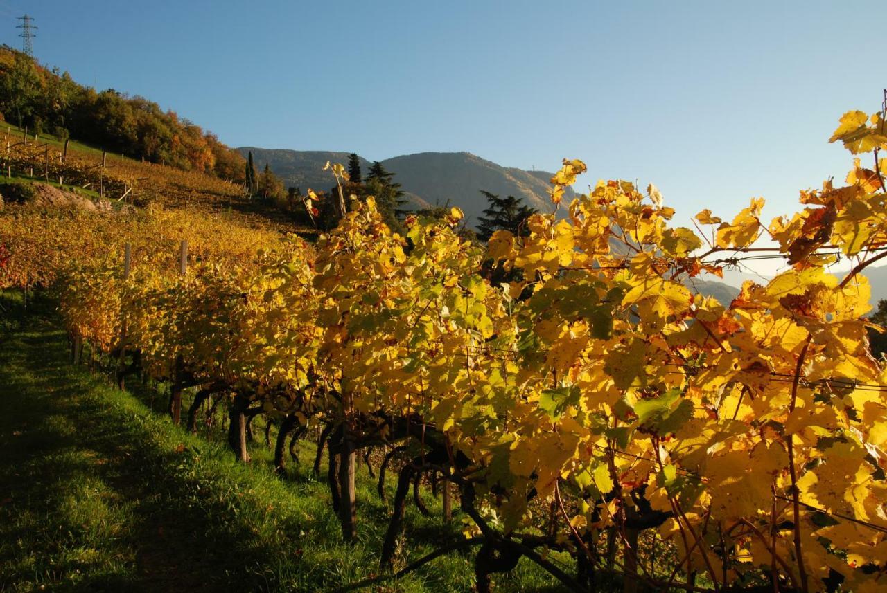 Weingut Messnerhof *