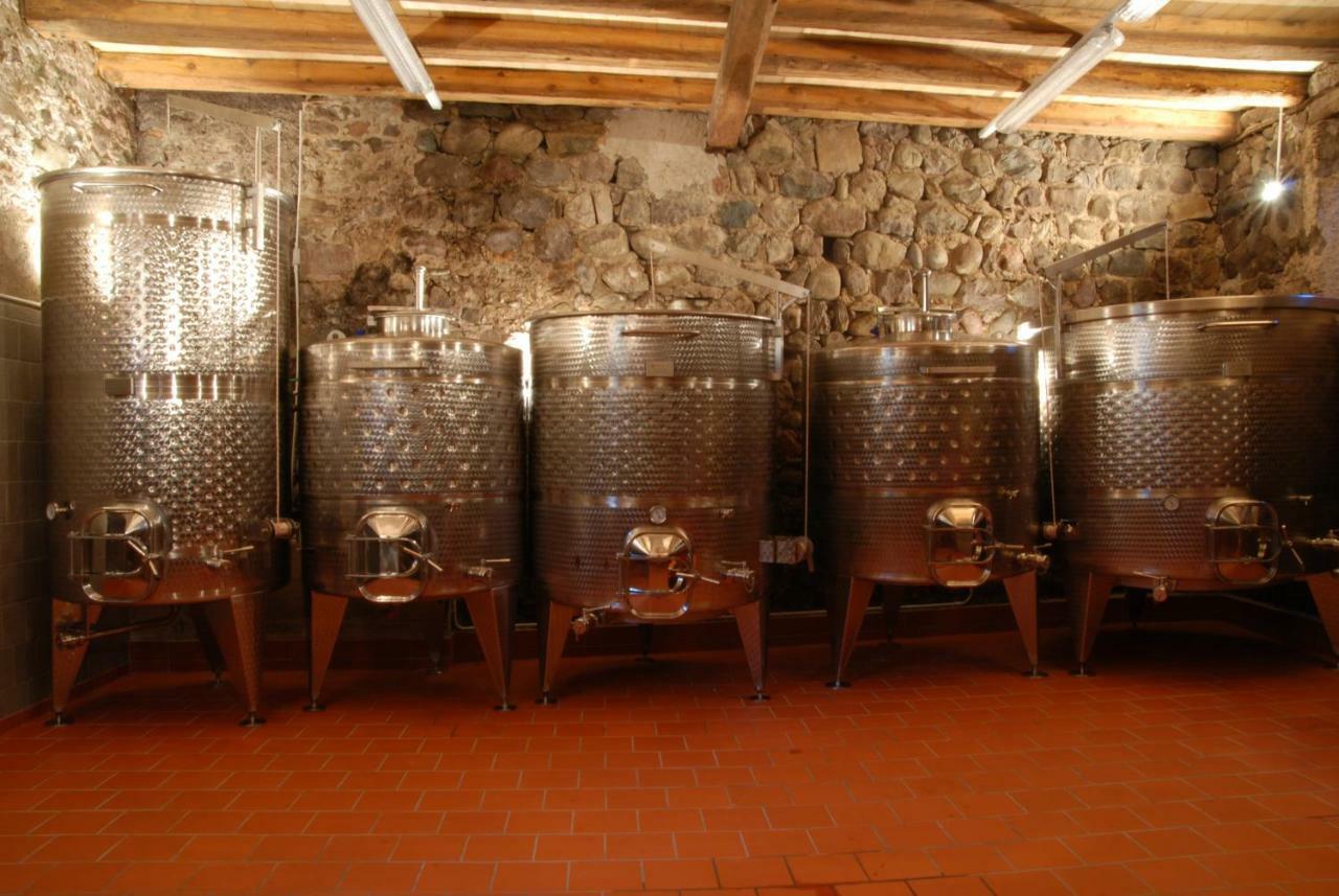 Apartment Weingut Messnerhof